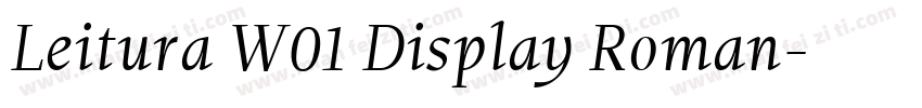 Leitura W01 Display Roman字体转换